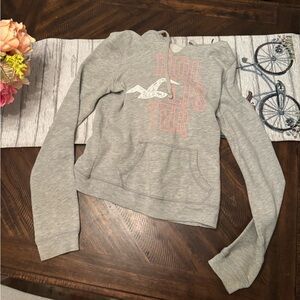 Gray Hollister hoodie